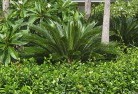 Gowrie Mountaintropical-landscaping-4.jpg; ?>