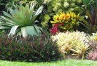 Gowrie Mountaintropical-landscaping-9.jpg; ?>